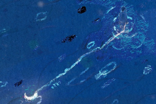 【特】撸猫 无地 z市 通贩不退款